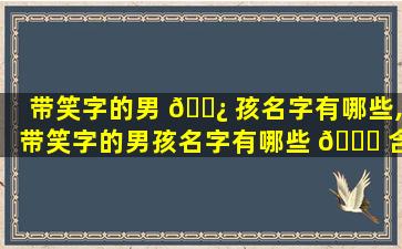 带笑字的男 🌿 孩名字有哪些,带笑字的男孩名字有哪些 🐎 含义